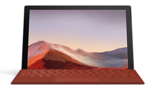 鱼台清洁和维护 Surface